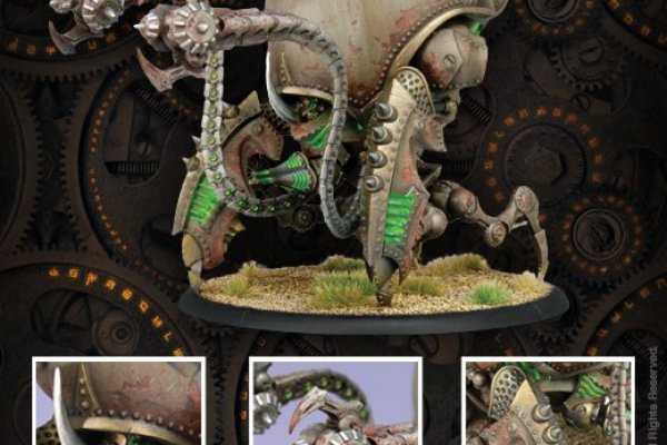 Kraken 24 at