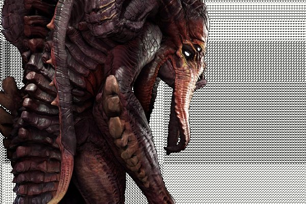 Www kraken 20at net