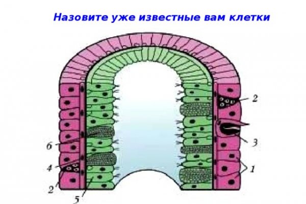 Кракен сайт kr2web in официальный ссылка