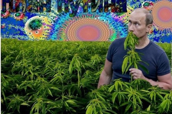 Сайт кракен россия