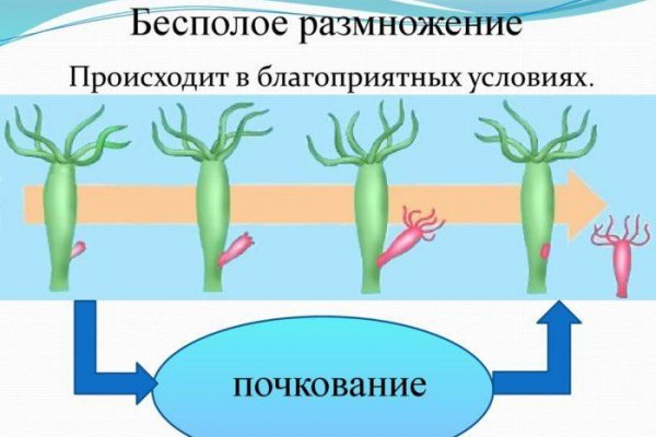 Кракен в обход