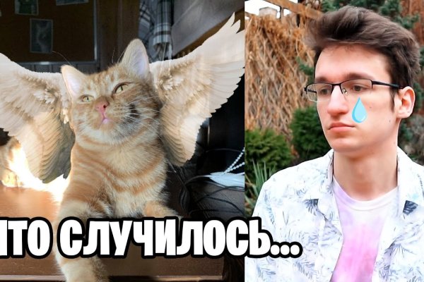 Ссылка на кракен реальная
