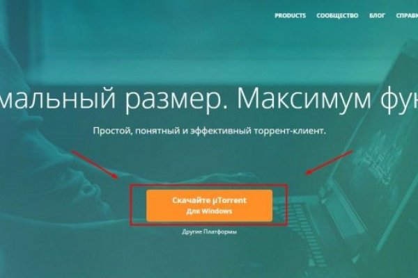 Кракен даркнет ссылка kraken link24 info