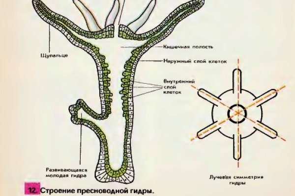 Кракен сайт kraken2