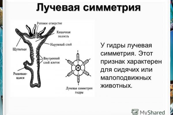 Что такое кракен в даркнете