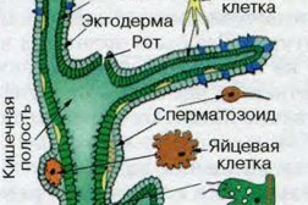 Как перейти на кракен